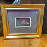 Framed Art by Coral Pearson Revel