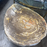 Petrified Wood Stone Coffee Table from HD Buttercup