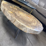 Petrified Wood Stone Coffee Table from HD Buttercup