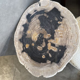 Petrified Wood Stone Coffee Table from HD Buttercup