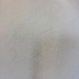 Pottery Barn Dinner Plate