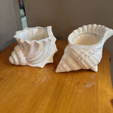 Iridescent Shell Planter
