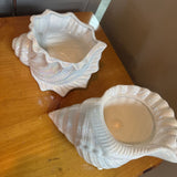 Iridescent Shell Planter