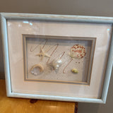 Seashell Shadowbox