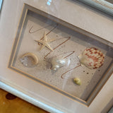 Seashell Shadowbox