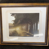 Moody Trees Print