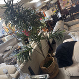 Faux Dracaena Tree