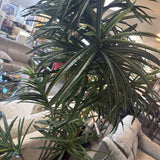 Faux Dracaena Tree