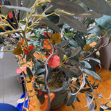 Faux Plant
