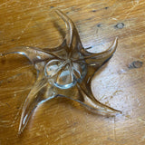 Sea Star Paper Weight