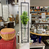 Hanging Glass Vase