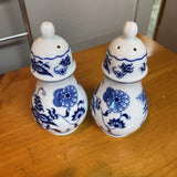 Salt and Pepper Shakers by Blue Danube