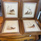 Wildlife Birds
