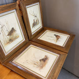 Wildlife Birds