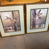 Ducks in Flight