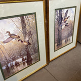 Ducks in Flight