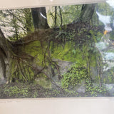 Taking Root Print + Matting