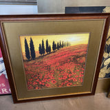 Poppies