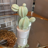 Ceramic Cactus in Pot