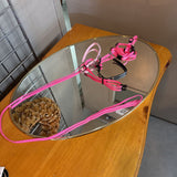 Small Animal Collars & Leash