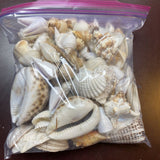 Bag of Shells