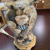 Shell Filled Lamp