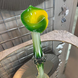 Jack-in-the-Pulpit Calla Lily Vase