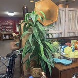Faux Dracaena Plant