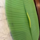 Banana Leaf Casserole Cover