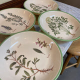 4pc Pasta Bowl Set by Willams Sonoma