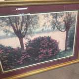 Flowering Hydrangeas