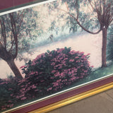 Flowering Hydrangeas