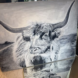 Original Highland Cow