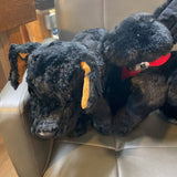Black Dog Stuffed Animal