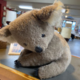 Koala Bear