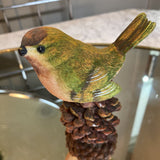 Wooden Warbler Bird on a Pinecone