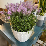 Faux Ptilotus Plantr