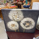 Dandelion Seed Canvas Art