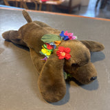 The Faithful & Loving Poi Dog Puppy