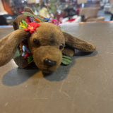 The Faithful & Loving Poi Dog Puppy