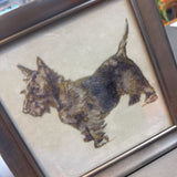 Scottie Dog Framed Art
