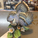 Lenox Blue Jay