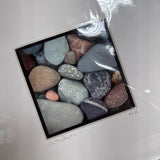 "On the Rocks" - Signed Matted Print