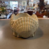 Shell Pillar Candle Holder