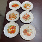 Set of 6 Fruit Plates by Schumann Arzberg