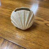 Ceramic Shell Vase
