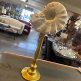 Shell on Gold Stand