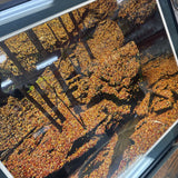 Leaf Photograph (Ordinary Miracles) by Robert Glenn Ketchum