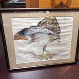 Framed Hawk Print