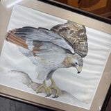 Framed Hawk Print